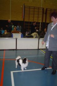 DSC00266.jpg